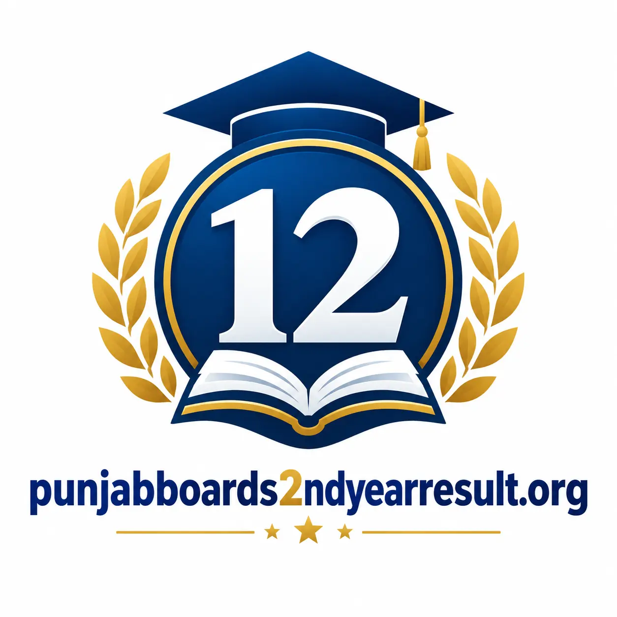 punjabboards2ndyearresult.org logo
